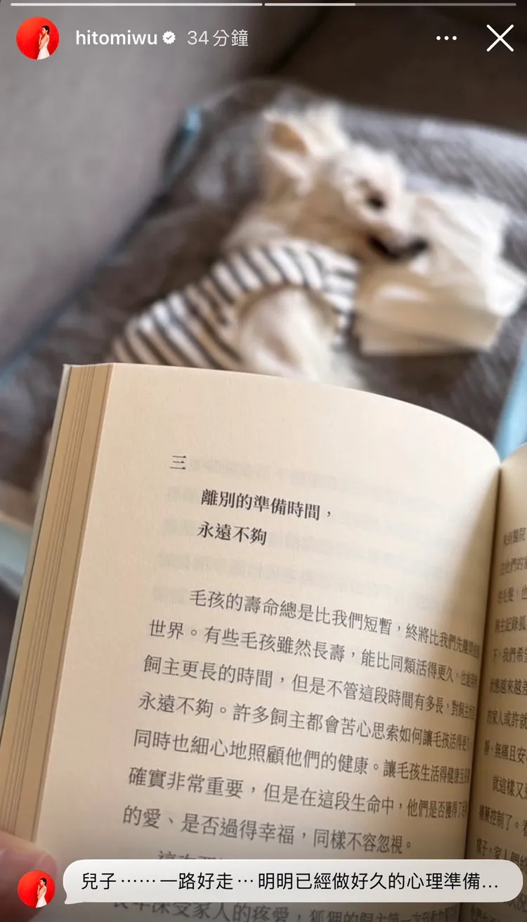 愛犬離世王瞳很痛心。翻攝自王瞳IG