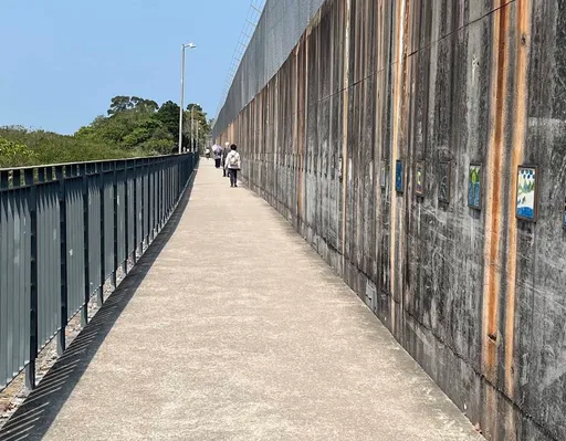 淡水紅樹林河域驚見男性浮屍　疑為失聯3天老翁待相驗