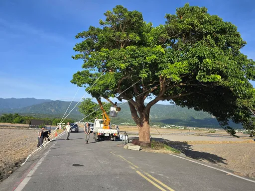 巴威颱風綠島蘭嶼掀長浪　池上刮強風金城武樹五花大綁