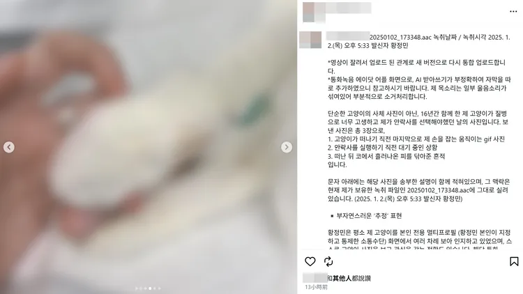 A女公開愛貓臨終前，握著她的手的照片。翻攝A女IG
