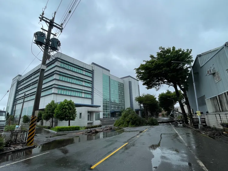 彰化縣路樹倒塌壓毀電桿等電力設備。台電提供
