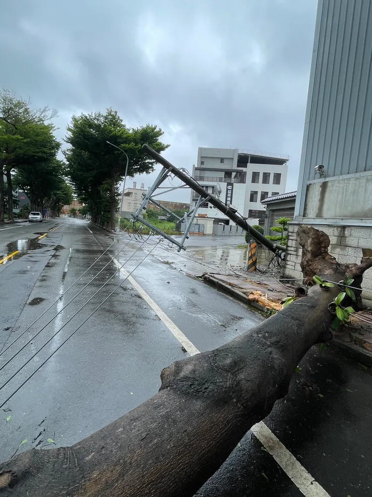 彰化縣路樹倒塌壓毀電桿等電力設備。台電提供