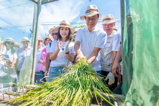 千人割稻飯推廣食農教育　張善政釋利多：推動敬老愛心卡在農會購物