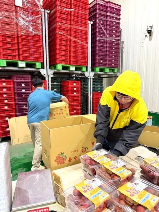 「荔」害了！台灣水果連番出擊　芒果之後荔枝打進英國