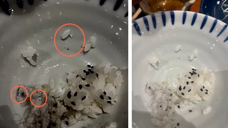 白飯內混有陶瓷碎片。民眾提供