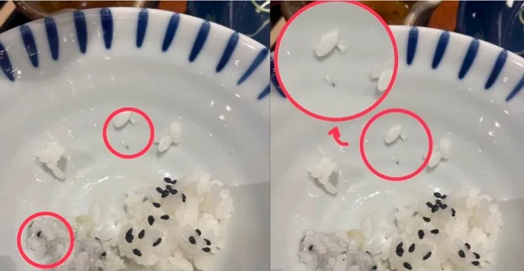 白飯內混有陶瓷碎片。民眾提供