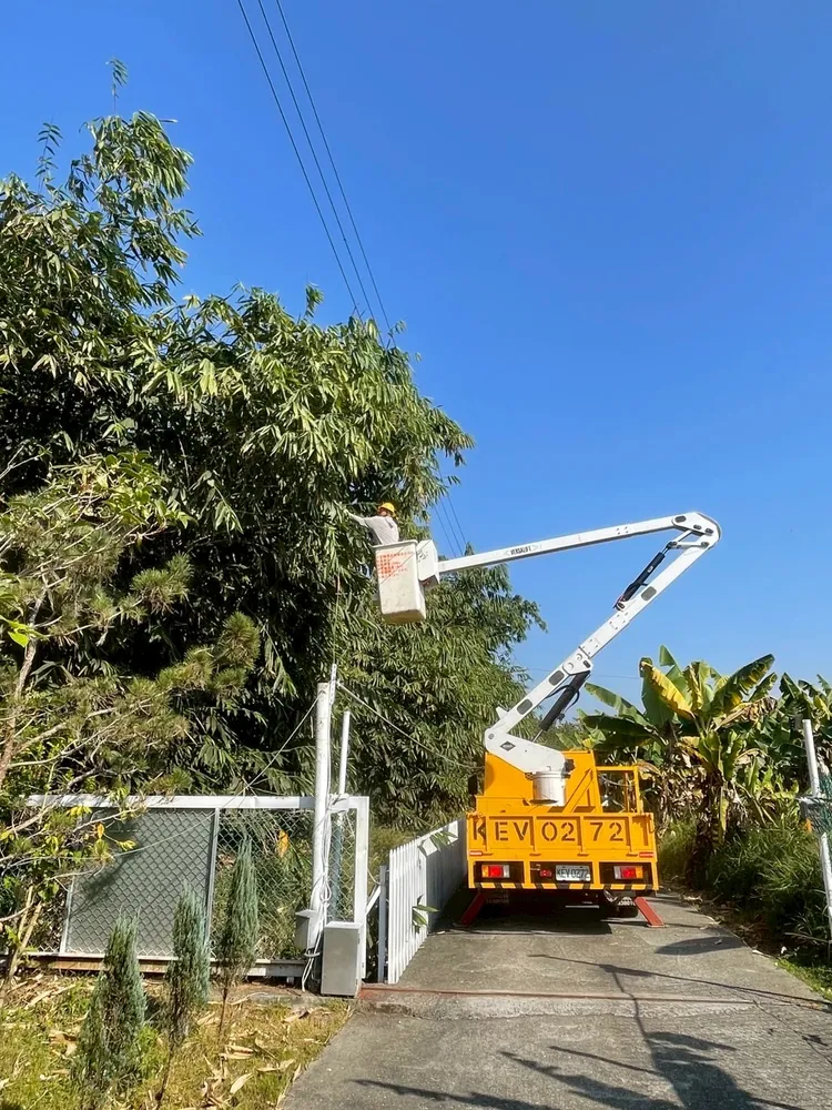 台電7月6日即啟動防颱整備作業，全面加強鄰近供電線路樹竹修剪。台電提供