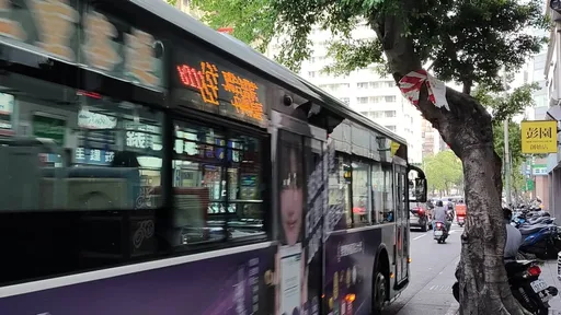 行道樹出現「傳說中的膠帶」要被砍了？　北市府揭真實用途