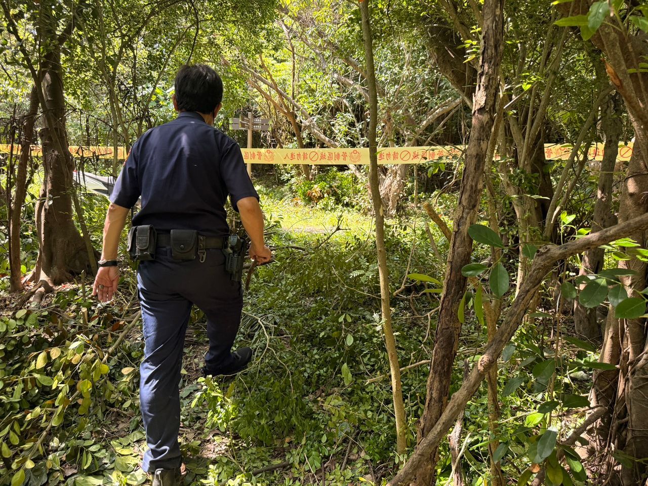 高雄都會公園旁樹叢發現一堆白骨!警方比對失蹤人口以確認身分釐清案情