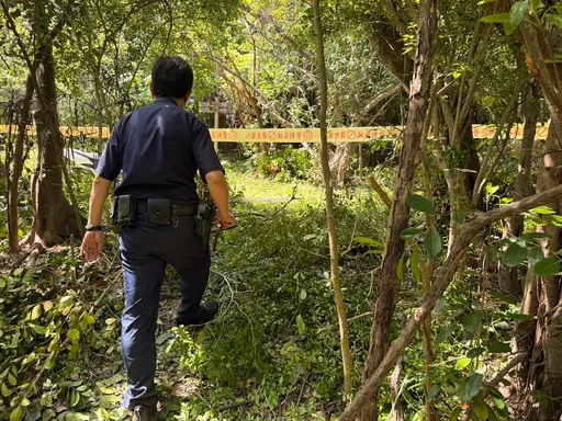 高雄都會公園旁樹叢發現一堆白骨！警方比對失蹤人口以確認身分釐清案情