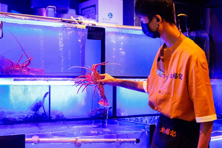 得固定清洗、重新調整海水的水族箱，能保持食材活跳跳夠新鮮。業者提供
