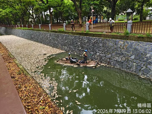 後勁溪死魚漂浮研判溶氧過低！排除動物疫病　同時查緝污染