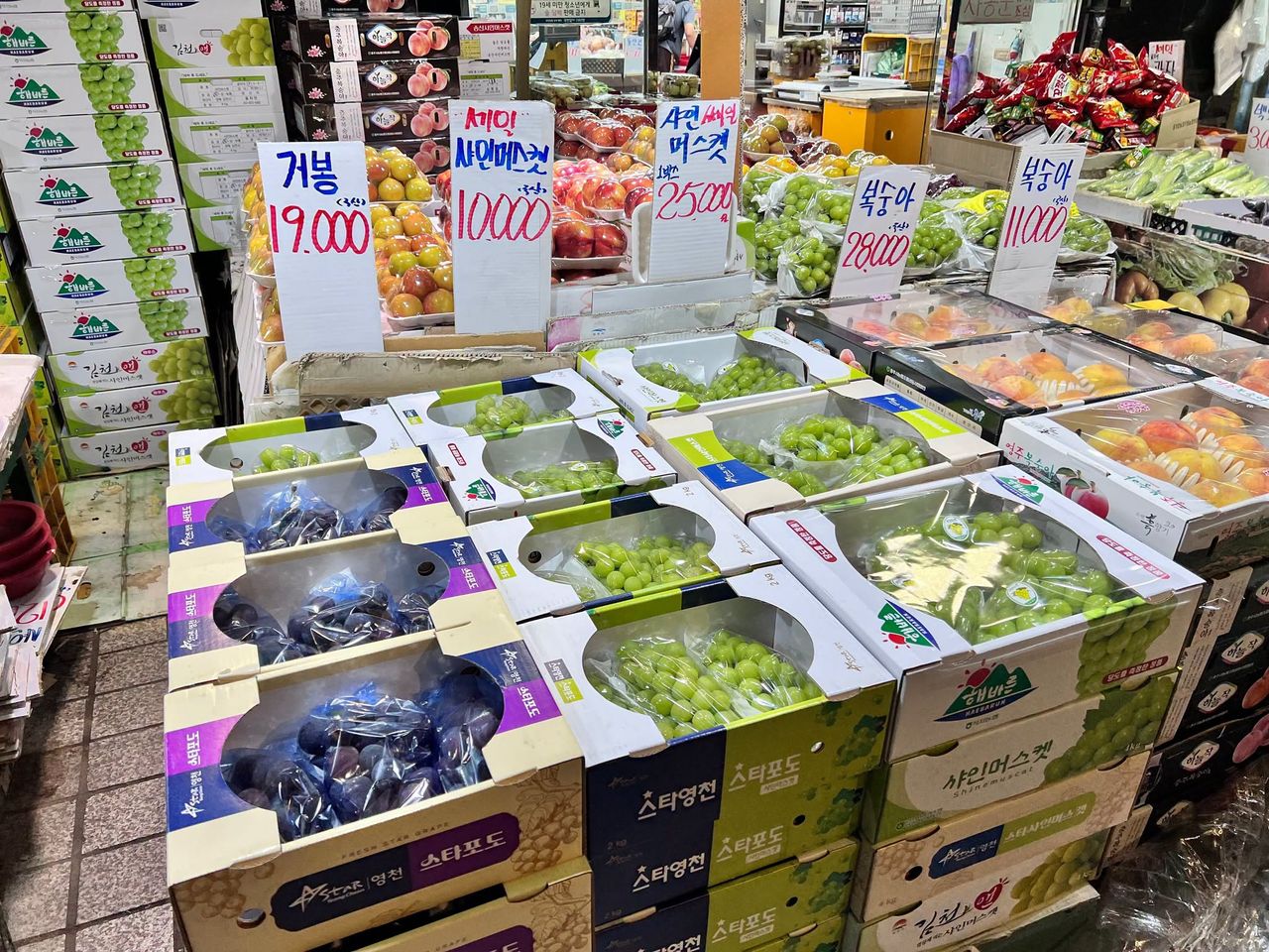韓國葡萄季開跑!麝香葡萄最低整串60元 旅韓達人狂推:夏天必吃水果之一