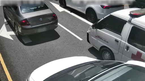 載新生兒轉院被擋道！特斯拉有讓　寶獅老神在在　警通知到案說明
