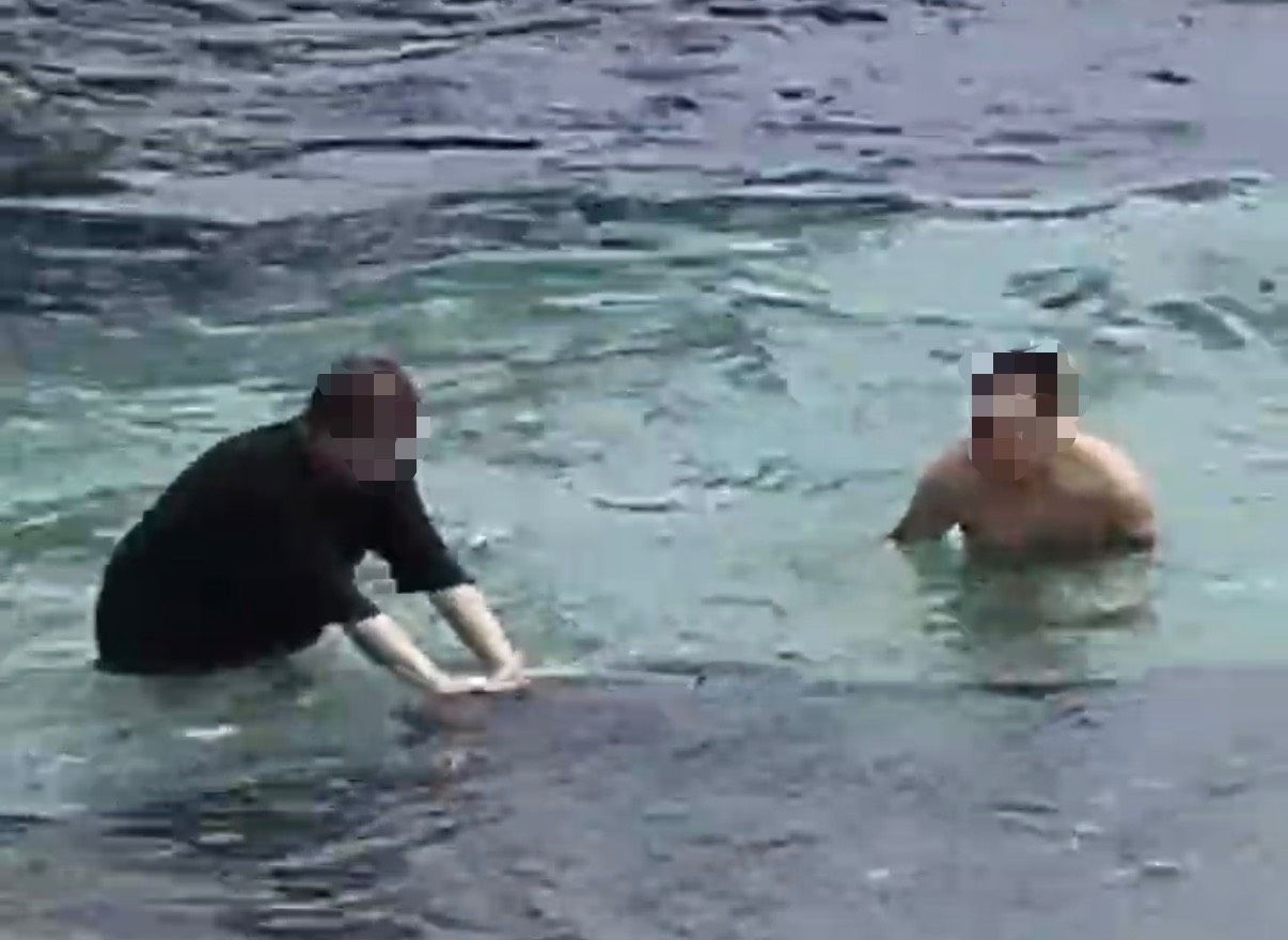 小琉球花瓶岩岸際騷擾海龜!2遊客被海巡逮捕 罰則真的重