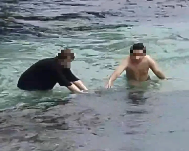 2名男性遊客觸摸海龜。翻攝畫面