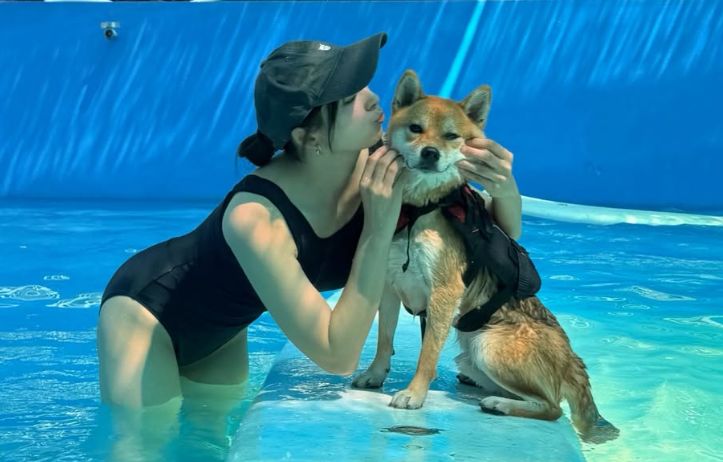 阿喜為保護愛犬獻祭大腿!慘被別人家的狗咬傷