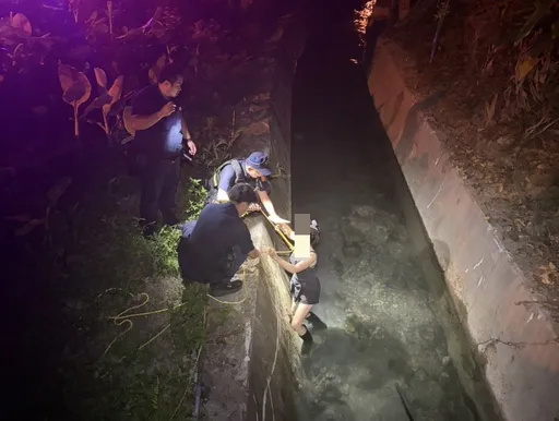 桃園保大戰警難得不用手銬逮捕犯嫌　以繩索解救受困排水溝人、狗