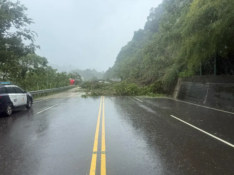苗栗大湖鄉台3線132.2公里處邊坡路樹滑落，造成雙向交流受阻。縣府提供