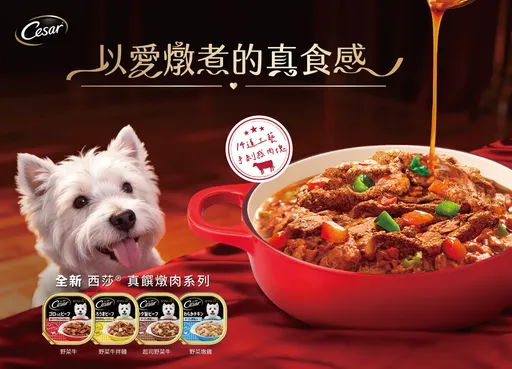 盛夏濕糧新選擇！全新「真饌燉肉系列」　主打完整營養、補充水分一次滿足