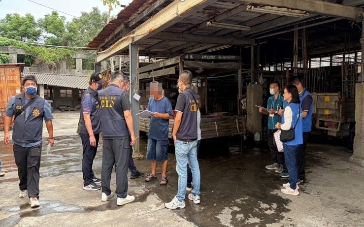 冒用牧場名義送屠宰場 羊肉戴奧辛竟超標 未流入市面飼主送辦3萬元交保