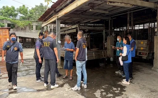 冒用牧場名義送屠宰場　羊肉戴奧辛竟超標　未流入市面飼主送辦3萬元交保