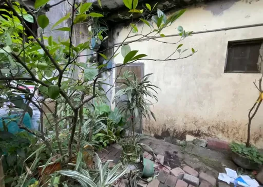 不滿亂排糞水遭檢舉！雙溪男徒手挖鄰居雙眼　一審判決曝