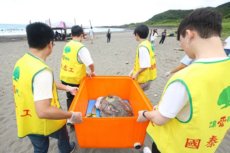 國泰人壽打造全員參與的海洋保育行動，由國泰志工擔任「野放大使」，為受傷海龜命名、參與野放及救傷志工培訓等。國泰人壽提供