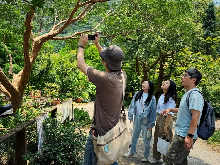 觀音山桃樂絲農場生態導覽，還可享用柚香風味餐。館方提供