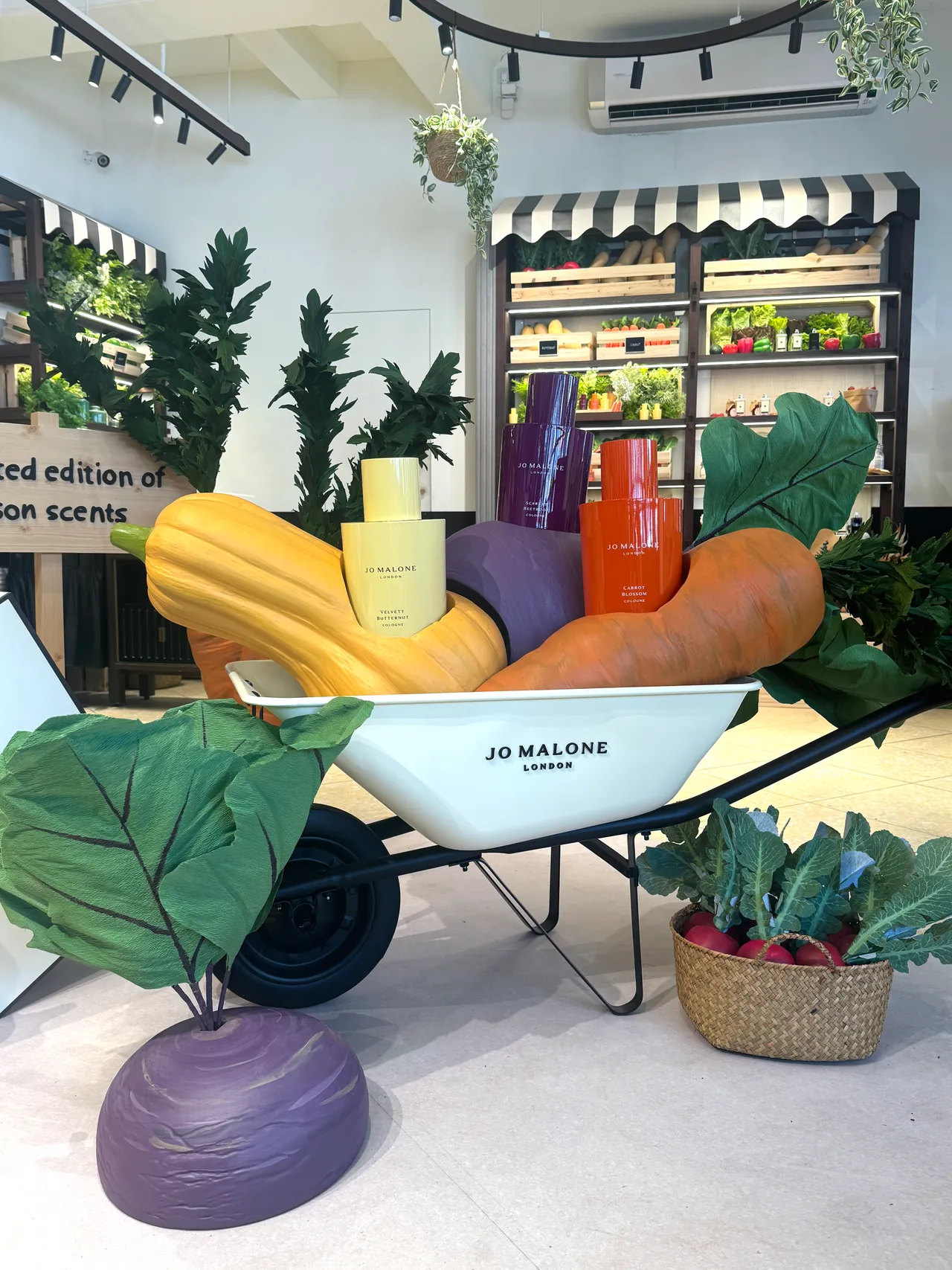 Jo Malone London推出2026英倫田園系列。張家玲攝