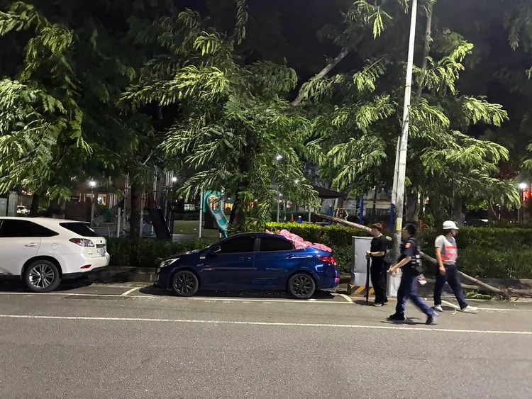 西屯區上安路西安公園路樹倒塌，砸中路邊停放的車輛。民眾提供