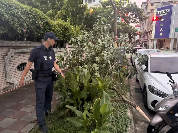 西屯區發生多起路樹倒塌事件。民眾提供