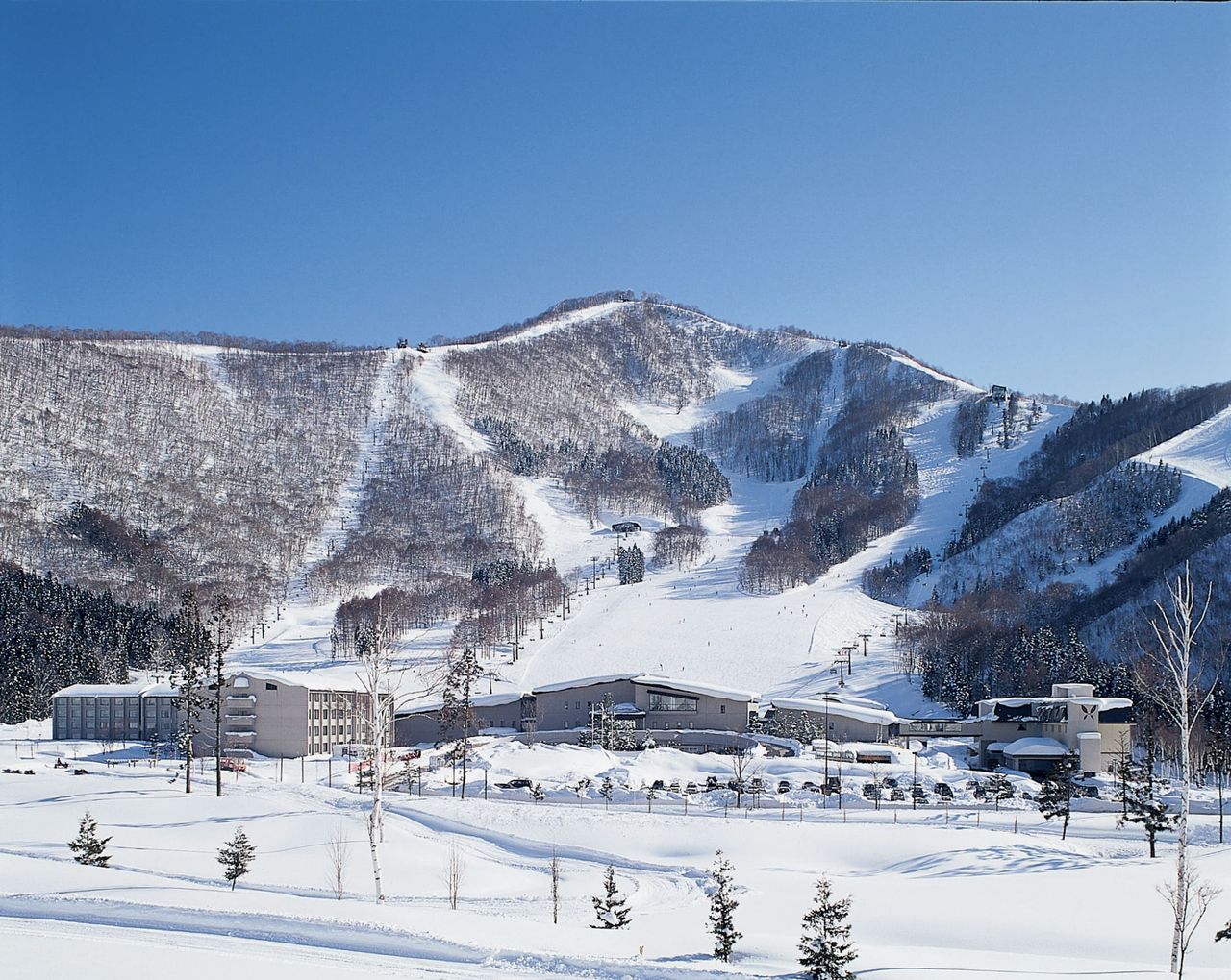 雄獅夏季旅展攻滑雪郵輪商機 跨年最高省萬元首爾免2萬
