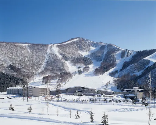 雄獅夏季旅展攻滑雪郵輪商機　跨年最高省萬元首爾免2萬