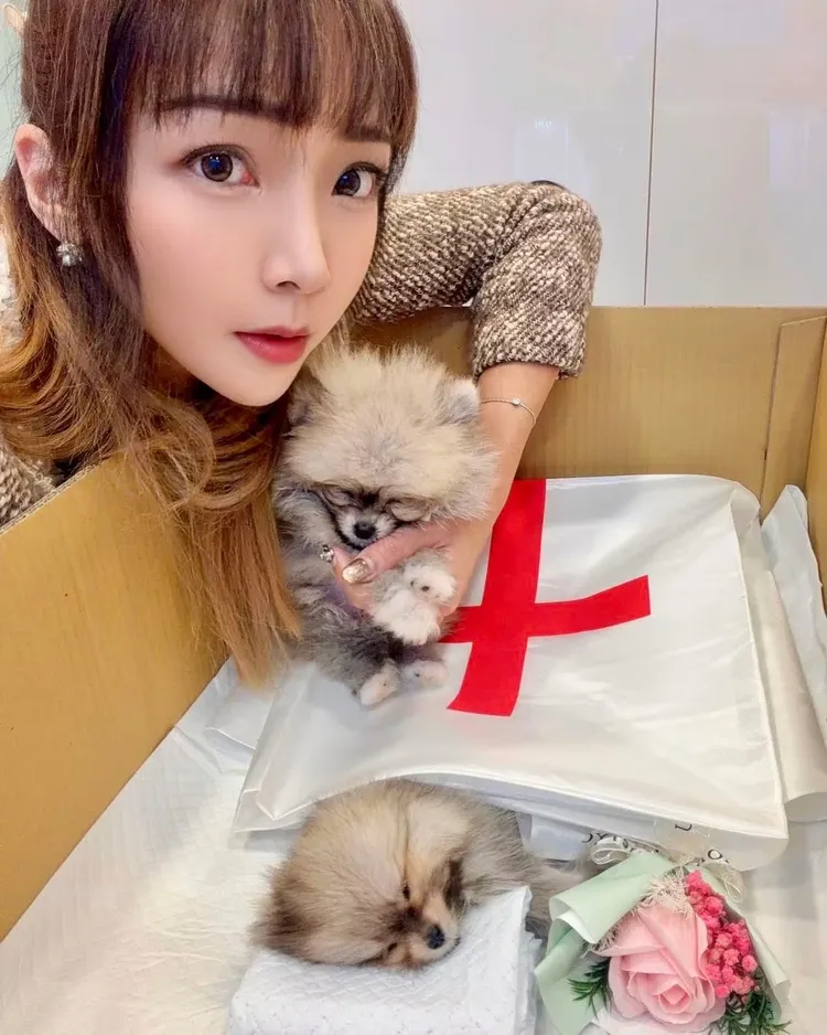 李宓不捨愛犬離世。翻攝李宓臉書