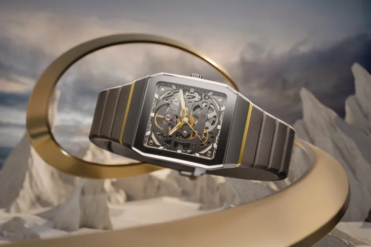 RADO Anatom系列電漿高科技陶瓷鏤空腕錶R10206109，14萬1000元。品牌提供