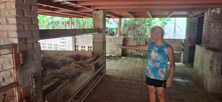 飼主譚璜飼養馬匹須常整潔環境。動保處提供