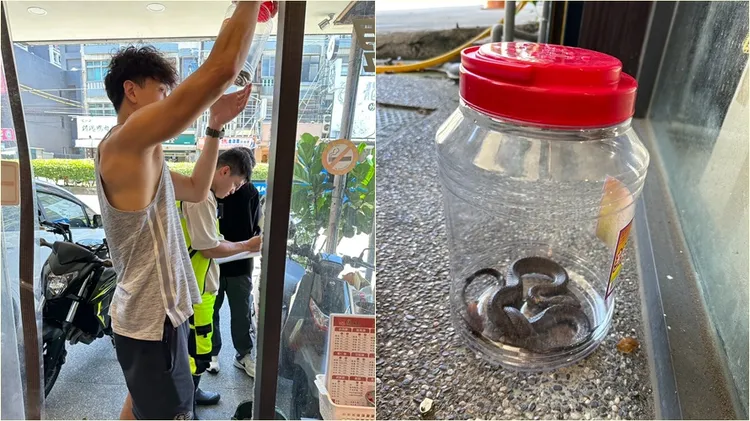 宋宇軒透露自己阿公過去是抓蛇人，因此自己也知道如何抓。翻攝自宋宇軒臉書