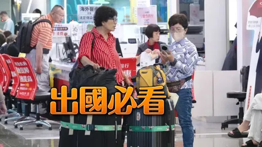 出國別亂買伴手禮！542人帶「這一物」慘罰20萬、144人拒入境