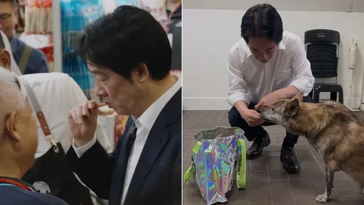 賴清德沒獨吞！狗糧肉條買回家真的有餵狗