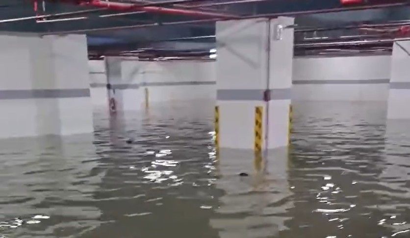 租停車位遇豪雨變泡水車 7車主告房東求償 僅3人獲賠原因曝光