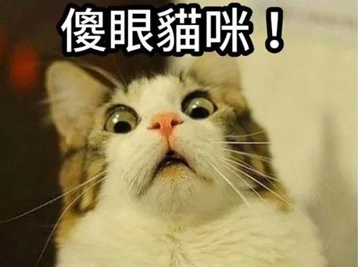 壹蘋派生活美語　2016 強勢回歸！一起重溫美好往昔