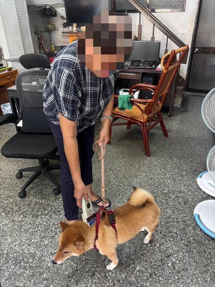 警方帶走失的柴犬到動物醫院掃瞄晶片。民眾提供