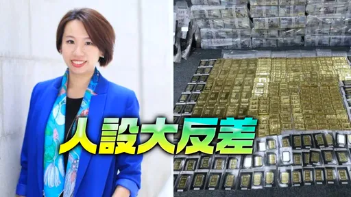 超諷刺！騙慈濟10億　無良女律師曾宣導反詐稱「被害者愚痴」