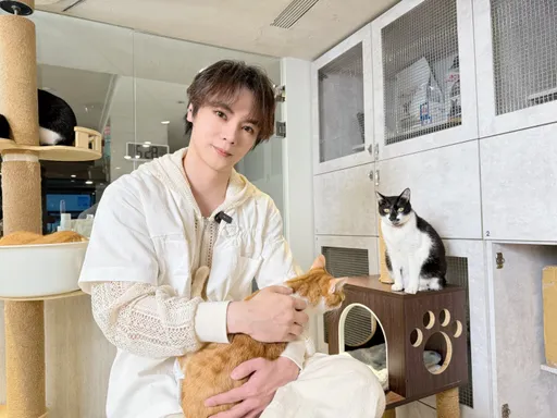暖男歌手古曜威收養殘缺小貓　溫柔喊話：請別傷害牠
