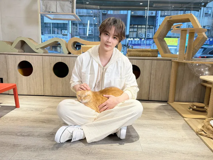 古曜威為浪浪發聲。貓咪也瘋狂公益協會提供