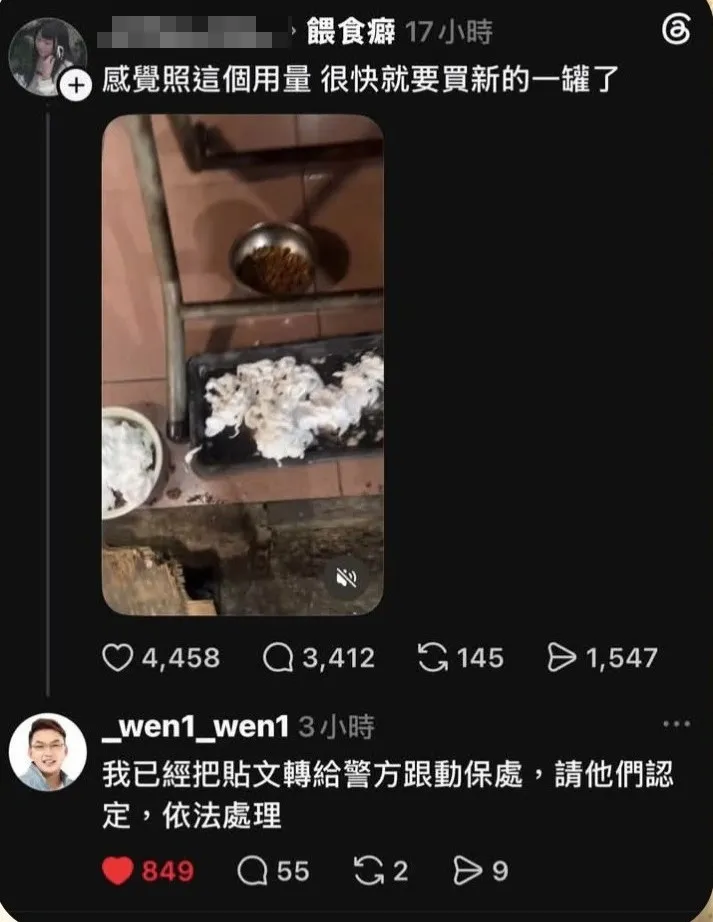 噴灑「刮鬍泡」影片上傳後，隨即被檢舉到動保處。翻攝Threads