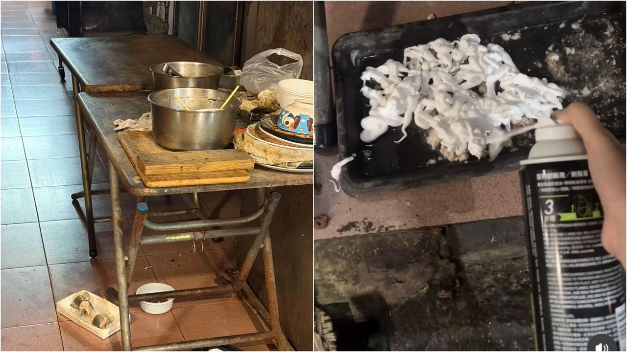 獨家|開戰!技能分使貓碗放刮鬍泡、檢舉髒亂 高市府2局處介入了