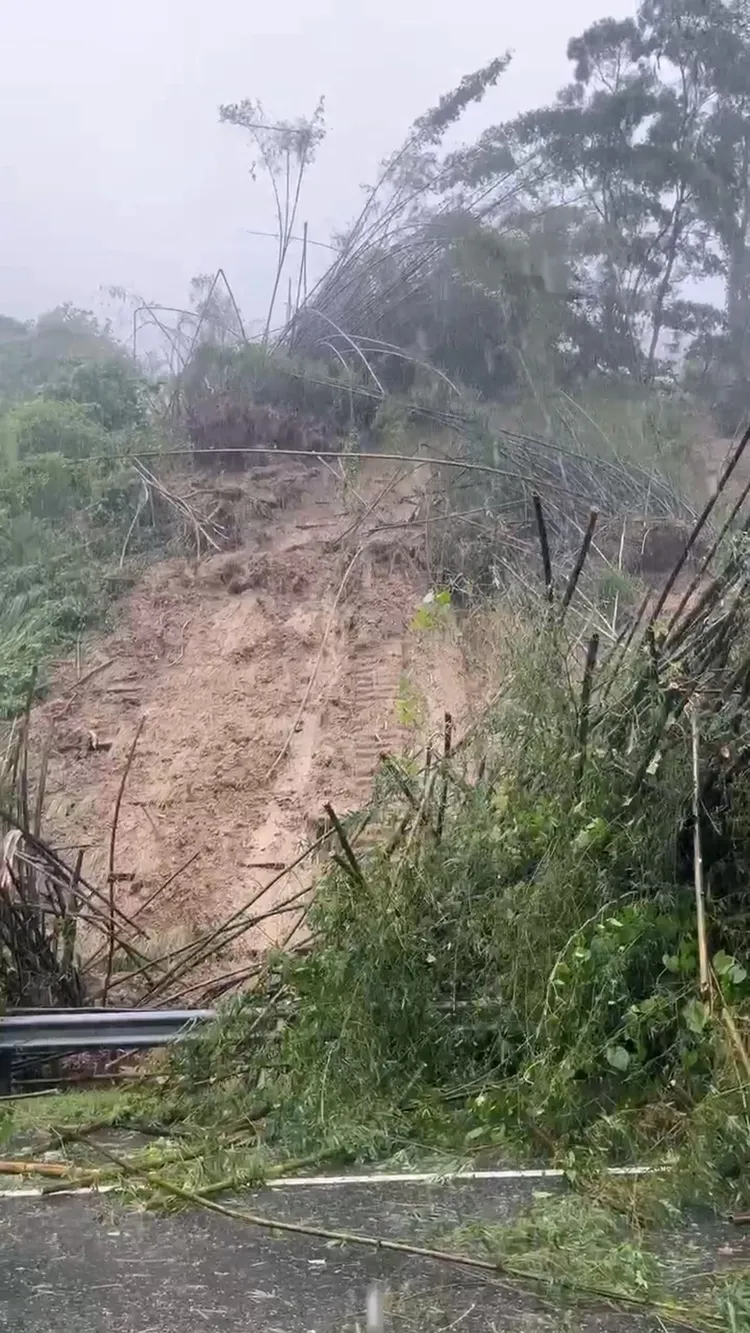 國道10號燕巢路段邊坡土石及路樹滑落。翻攝畫面