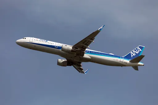 197人險死！全日空班機羽田機場驚魂　降落時險撞飛測機